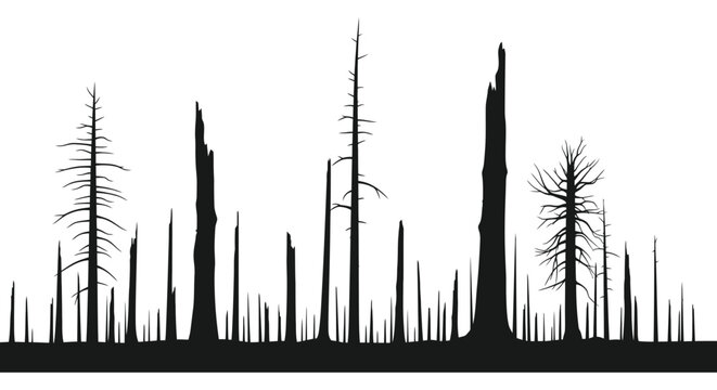 A stark landscape of dead trees and branches rendered in a dramatic black silhouette high quality professional detailed modern elegant stylish