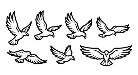 Obraz premium Illustrations of Birds in Flight - A Collection of Avian Art.