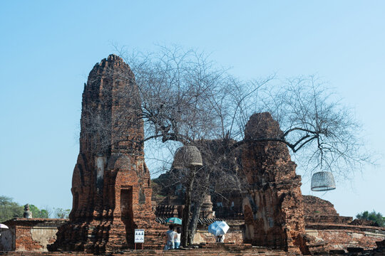 Panoramic view of the ancient Khmer-style prang (corn-shaped tower) at Wat Mahathat in Ayutthaya Historical Park, Thailand.