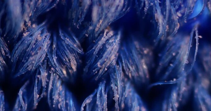 Extreme Microscopic Slide of Blue Dusty Fabric with Pollution Particles for Chemical Cleaning Research and Textile Engineering Studies with Potential for Advanced Commercial Stain Removal Technology