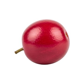 Single ripe lukluki fruit with stem isolated on white background