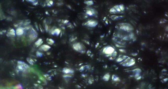Microscopic View of Porous Foamed Plastic Texture showing Honeycomb Cells for Polymer Science Studies of Synthetic Insulation Materials and Lightweight Structural Engineering with Air Void Analysis