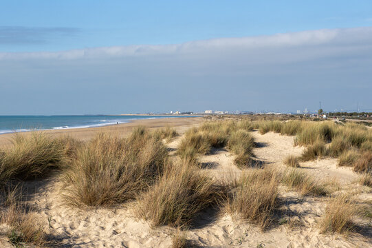Punta del Boqueron dune, wetland and beach reserve, near Cadiz, Spain  