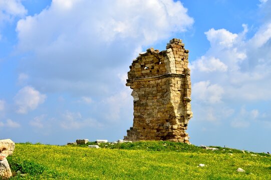 Ancient stone ruins of Hagia Thecla (Aya Tekla) surrounded by spring wildflowers under a bright blue sky in Silifke, Turkey