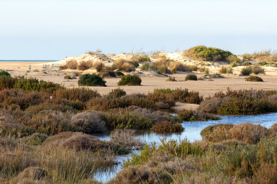 Punta del Boqueron dune, wetland and beach reserve, near Cadiz, Spain  