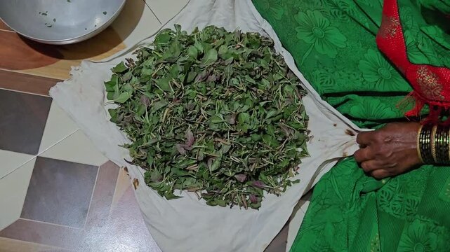 A Maharashtrian Konkani woman gently ties Tandlichi Bhaji, or amaranth leaves, in a white cloth to preserve its freshness. Traditional bangles glisten while securing the knot, honoring Indian culinary