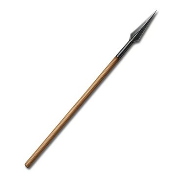 A spear with a wooden shaft and metal point