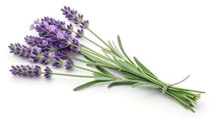 Naklejka premium lavender isolated on white