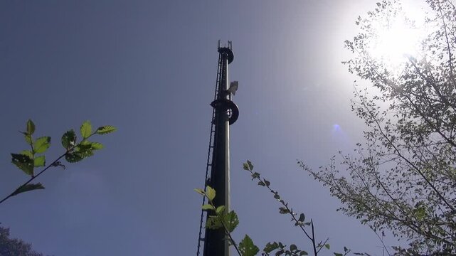 Aerial antenna comms tower low angle sky blue sun plants tree nature Amer