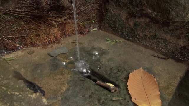 Fountain fresh water moss stone mountain countryside nature leaf newt rural