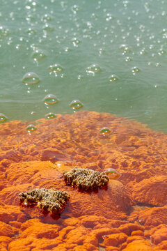 Orange mineral precipitate and bubbles in Champagne Pool