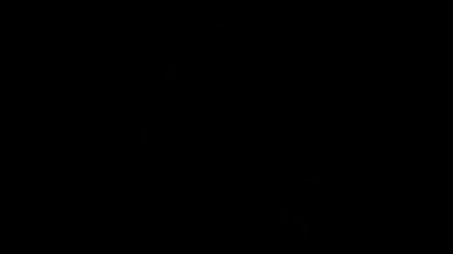 festive fireworks in the night sky during a celebration