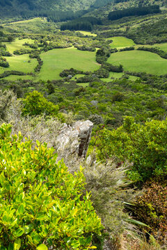 The Organ Pipes - volcanic polygonal columns