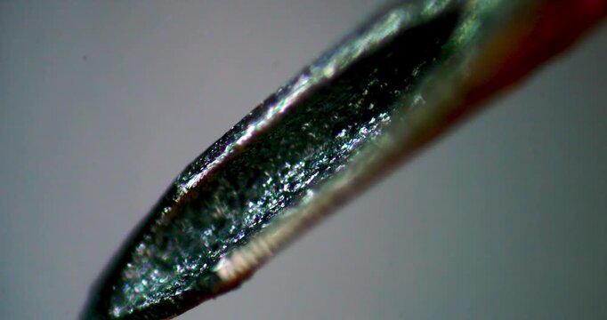 Extreme Macro View Rotating Counter Clockwise showing Microscopic Tip of Surgical Needle Injecting Botulinum Toxin under Human Skin Layer for Anti Aging Treatments and Facial Rejuvenation Scene
