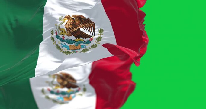 Mexican flags with its coat of arms waving isolated on green background