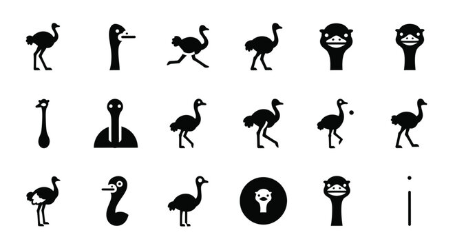 Set of ostrich bird silhouettes in different poses and icons