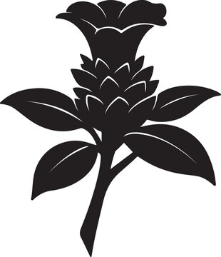 Costus Flower Flower Icon &ndash; Vector Illustration