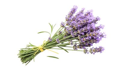 Fragrant lavender bouquet PNG isolated on transparent background, bunch of purple flowers for aromatherapy and relaxation © Maria
