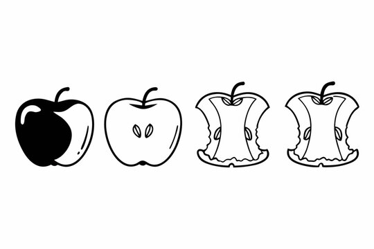 Educational vector illustration tracing the complete process of an apple being consumed, from its whole form to the final core.