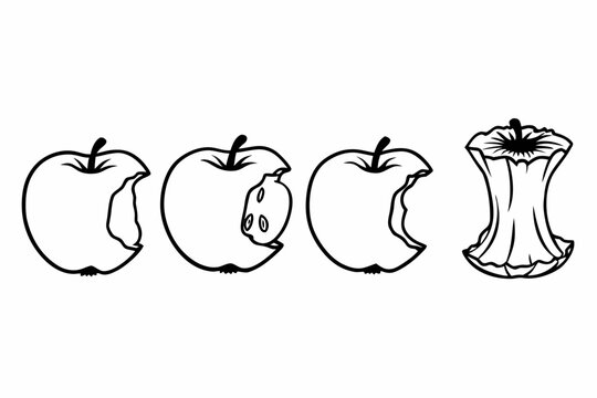 Vector graphic illustration outlining the sequential stages of an apple's consumption, from the initial bite mark to the complete remaining core.