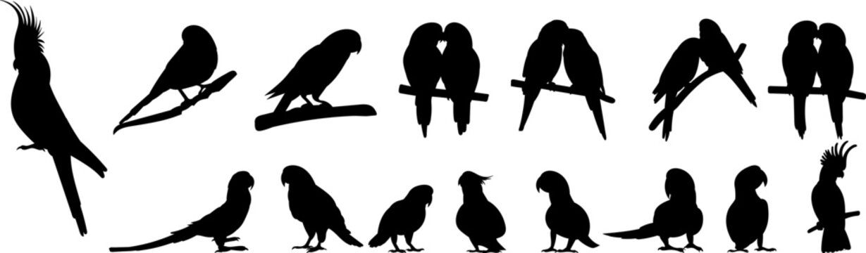 Parrot silhouette, lovebirds, vector