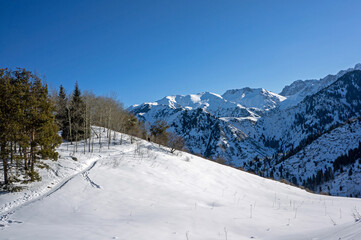 Obraz premium Winter mountain trail with bare trees and snowy peaks near Kok Zhailau Almaty