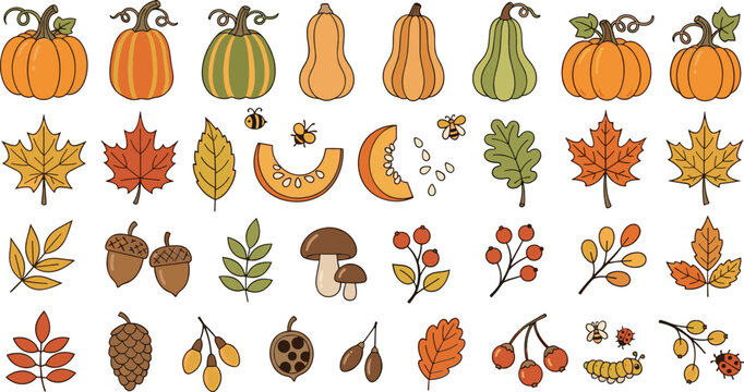 Autumn nature collection with pumpkins leaves acorns berries mushrooms and insects decorative vector illustration set