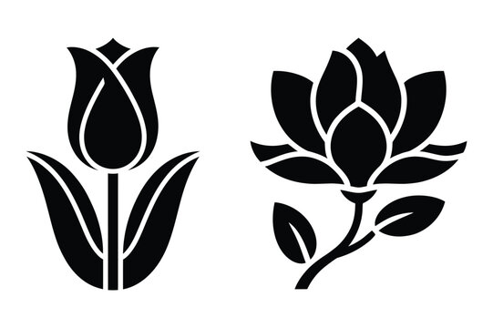 Tulip and magnolia flower illustration icon set vector