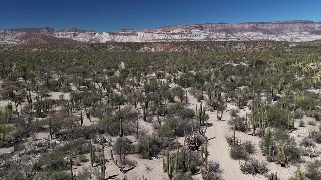 aerial view of rock desert baja california sur sierra guadalupe mexico drone panorama
