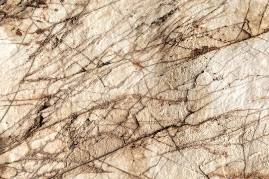 The cracked outer surface of a flint concretion at the interface with the sedimentary rock. Background texture.