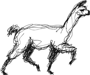 Fototapeta premium Sketch of a llama in motion with loose, expressive black ink lines