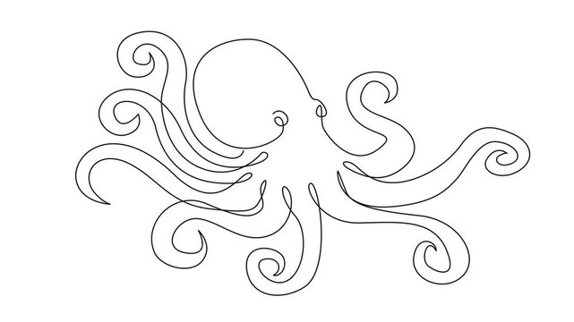 animated continuous line drawing of kraken, octopus, line art animation