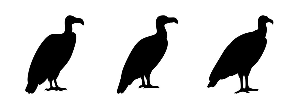 Vulture silhouette vector art: black vultures standing, scavenger birds, carrion eaters, wildlife art