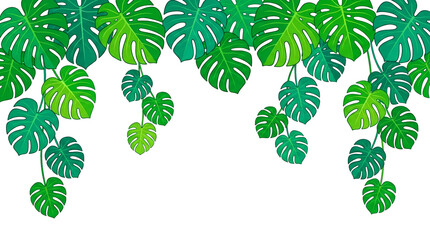 Naklejka premium Hanging tropical monstera leaves border, transparent background