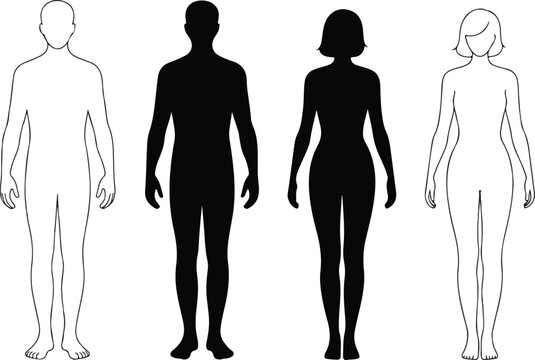 Male and female body silhouette and outline template set for fashion design character reference and medical diagram anatomical illustration.
