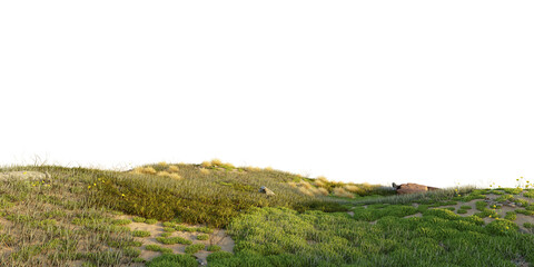 Obraz premium Green meadow hills with wildflowers and fresh grass forming a natural countryside landscape. Open grassy terrain isolated on transparent background, 3d rendering.