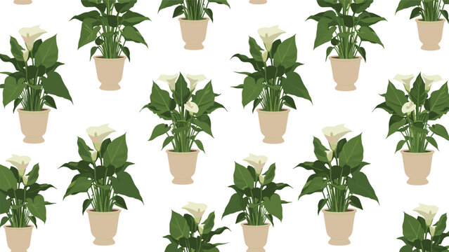 Elegant seamless pattern features many white calla lily plants growing in beige ceramic pots on a solid white background.