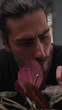 Handsome indoor gardener smelling and caring for houseplants