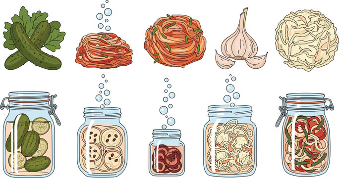 Homemade vegetable fermentation process set with cucumbers cabbage garlic pickles in glass jars probiotic food preservation vector illustration