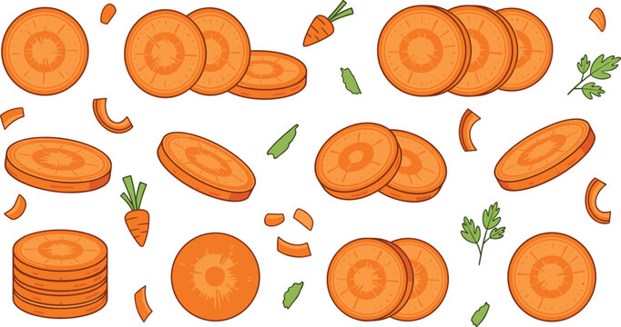 Hand drawn vector illustration set of fresh orange carrot slices and pieces with parsley leaves for healthy food cooking and vegetable nature designs.