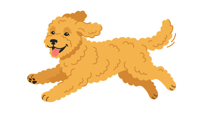 A Labradoodle dog dashes forward. A joyful goldendoodle with curly fur. A doodle breed canine. A fluffy puppy radiates positivity. A friendly pup in motion. A flat vector illustration set against a