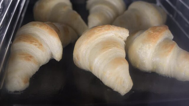 Timelapse of croissants baking in the oven starting with steam injection and rising dough, ending with perfectly golden and crispy pastries. Concept of bakery process, cooking, food production and art