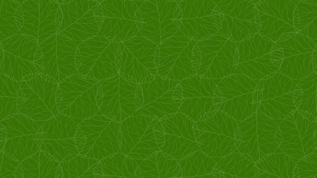 自然な葉のアウトラインパターン ループアニメーション背景