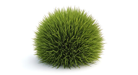 Obraz premium A green oval shaped brush with long thin bristles