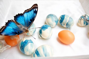 Obraz premium Easter Butterfly Photography