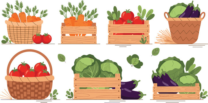 Fresh vegetables in baskets and crates vector illustration set with carrots, tomatoes, cabbage and eggplant, organic farm produce collection design