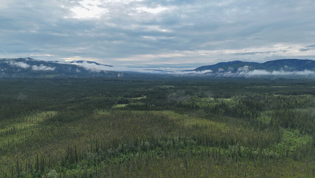 Expansive view of the vast boreal forest in stevens village, alaska, stretching towards distant mountains partially obscured by low hanging clouds under an overcast sky