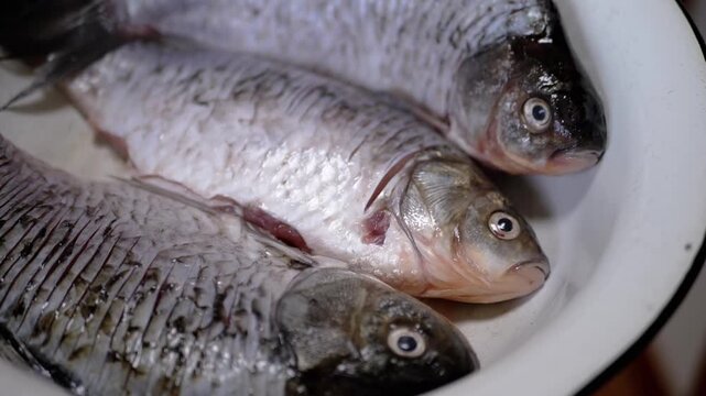 Three beautifully silver fish are displayed elegantly on a plate, showcasing their shiny skin and unique features