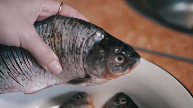 In a detailed closeup view, a hand firmly grasps a fresh fish as it symbolizes the preparation process for cooking it