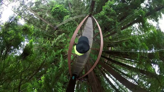 Redwood Forest Skywalk Walking POV Tiny Planet 04 California USA